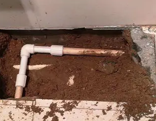 卓资测漏水哪家好