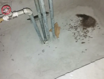 卓资卫生间测漏水价格明细