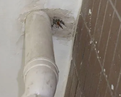 卓资漏水检测哪家好